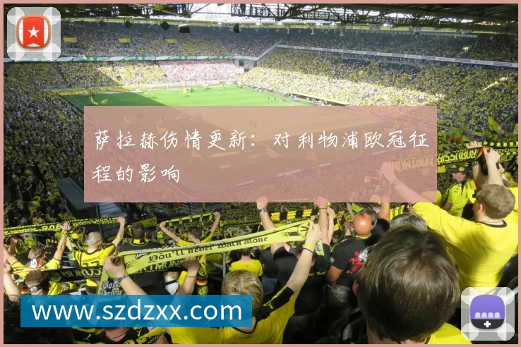 曼城球员名单：深度解析现役阵容
