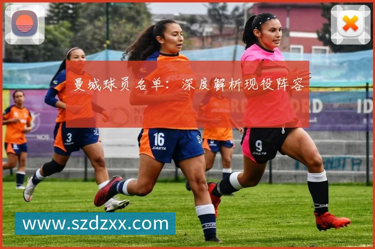 意甲规则解读：VAR与财政公平法案的影响